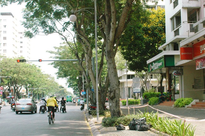 Phong tỏa chung cư cao cấp tại TPHCM phòng chống Covid-19 - ảnh 1