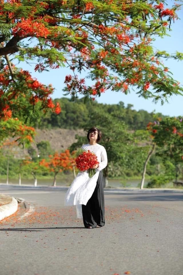 Rực rỡ con đường hoa phượng ở Hải Phòng - ảnh 3