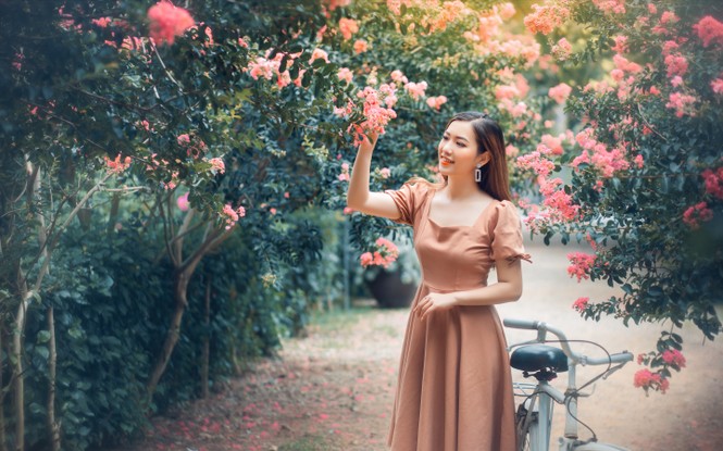 Đường tường vi hồng rực ngay trong lòng Hà Nội: Cách Linh Đàm 900m, 40k check-in thả ga - ảnh 5