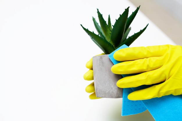Thay đổi những điều nho nhỏ này sẽ đánh tan được thói bừa bộn, vì vậy bản thân vui vẻ hơn - ảnh 2