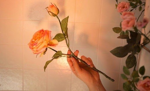 Món quà đặc biệt của những người siêu nhạy cảm - Highly Sensitive Person (HSP) - ảnh 5