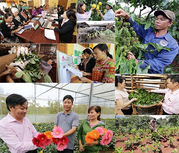 Nhiều vụ việc tội phạm liên quan đến tín dụng đen, Ngân hàng có giải pháp gì - ảnh 2
