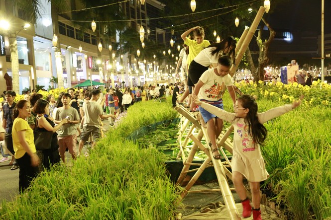 Khai mạc Hội hoa xuân Phú Mỹ Hưng - ảnh 3