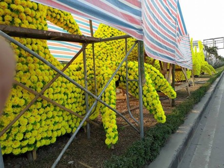 Hải Phòng khẩn cấp gỡ 'rồng lai pikachu' - ảnh 5