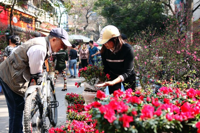 Chiều cuối năm trên chợ hoa phố cổ Hàng Lược - ảnh 4