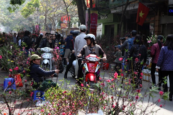 Chiều cuối năm trên chợ hoa phố cổ Hàng Lược - ảnh 5
