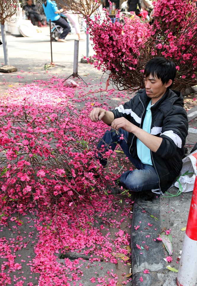 Chiều cuối năm trên chợ hoa phố cổ Hàng Lược - ảnh 10