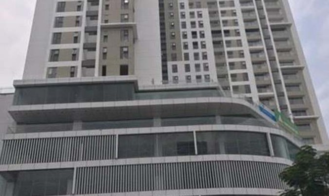 HoREA cảnh báo hiện tượng 'quân xanh quân đỏ' đấu giá đất - ảnh 1
