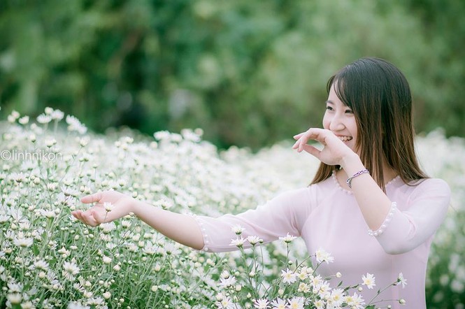Mê mẩn ngắm thiếu nữ Hà thành khoe sắc bên cúc họa mi - ảnh 2