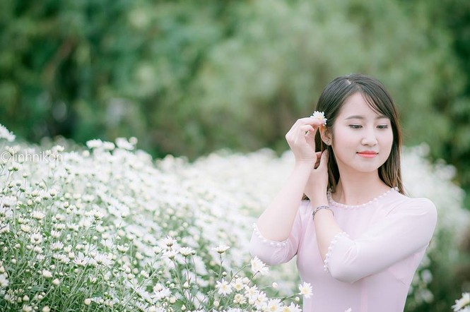 Mê mẩn ngắm thiếu nữ Hà thành khoe sắc bên cúc họa mi - ảnh 5