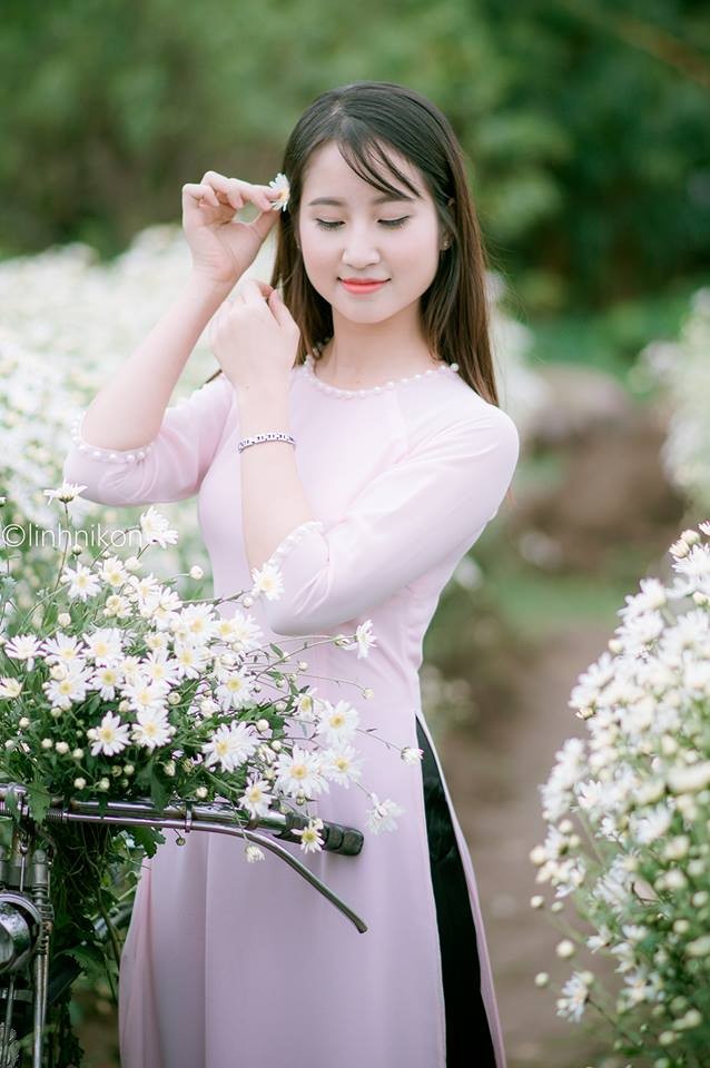 Mê mẩn ngắm thiếu nữ Hà thành khoe sắc bên cúc họa mi - ảnh 4