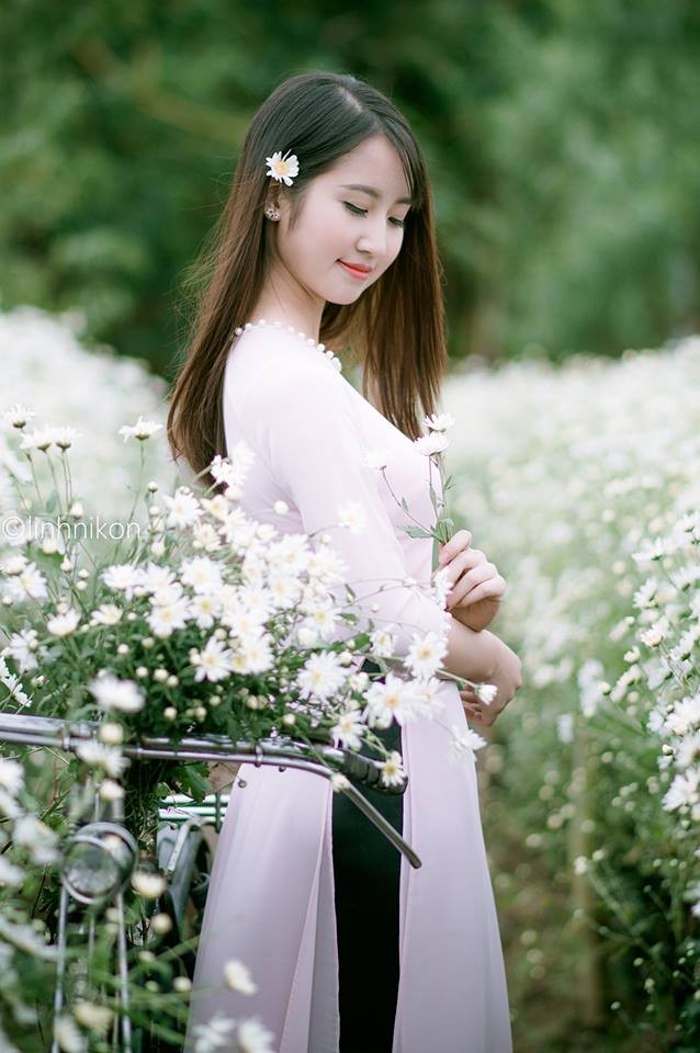 Mê mẩn ngắm thiếu nữ Hà thành khoe sắc bên cúc họa mi - ảnh 3