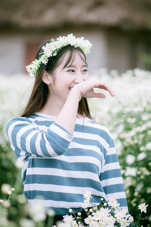 Mê mẩn ngắm thiếu nữ Hà thành khoe sắc bên cúc họa mi - ảnh 11