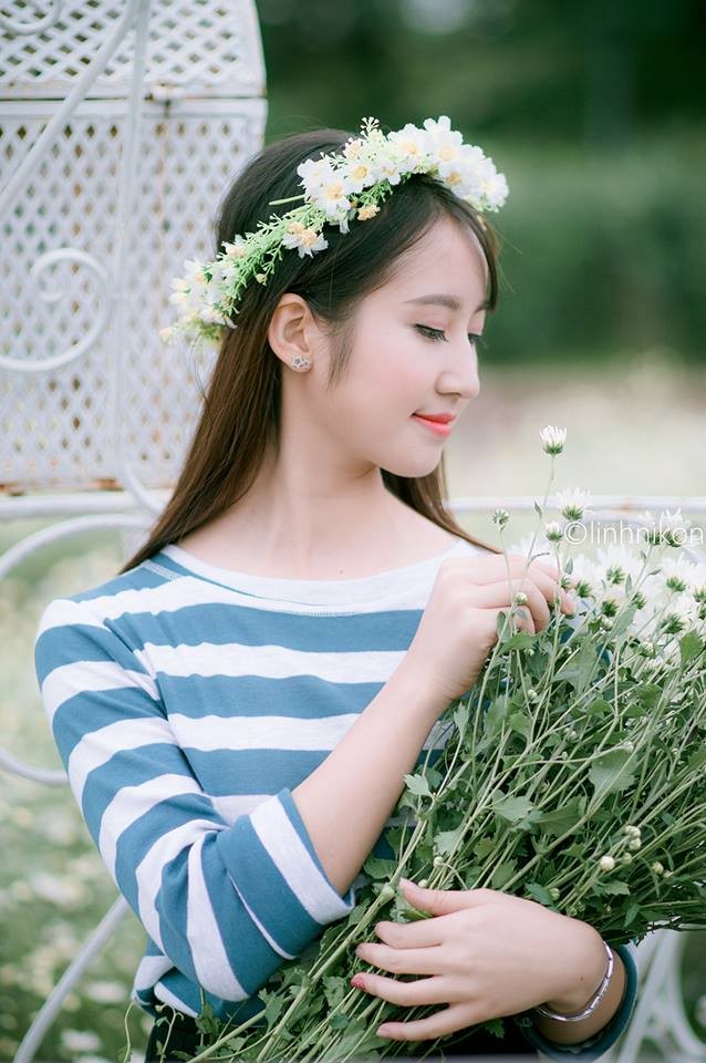 Mê mẩn ngắm thiếu nữ Hà thành khoe sắc bên cúc họa mi - ảnh 13