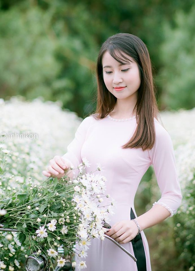Mê mẩn ngắm thiếu nữ Hà thành khoe sắc bên cúc họa mi - ảnh 6