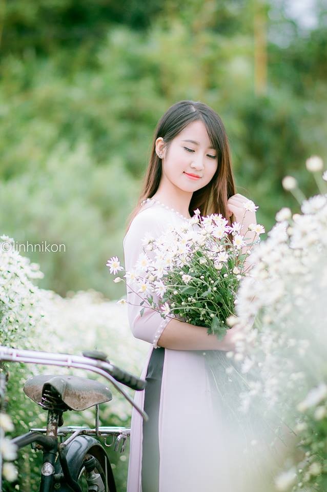 Mê mẩn ngắm thiếu nữ Hà thành khoe sắc bên cúc họa mi - ảnh 7