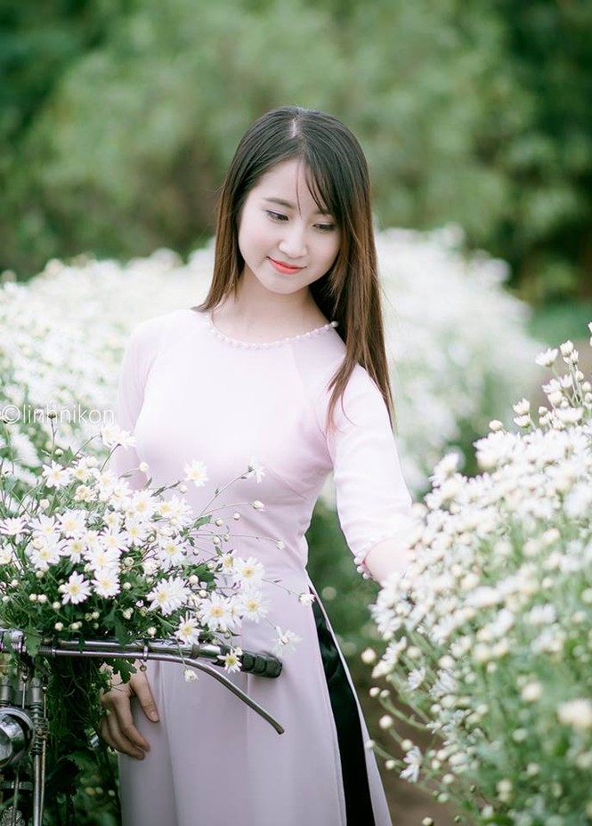 Mê mẩn ngắm thiếu nữ Hà thành khoe sắc bên cúc họa mi - ảnh 8
