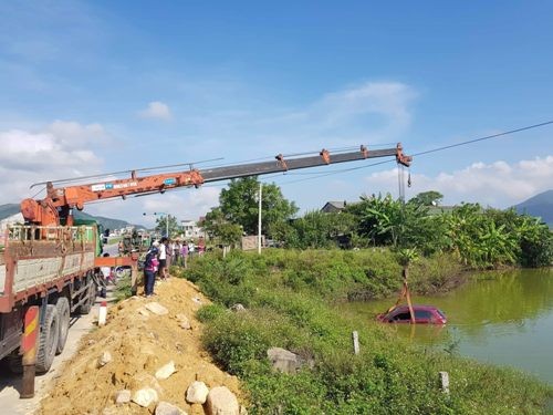 Tránh đàn bò, người đàn ông lao xe xuống hồ tôm - ảnh 1