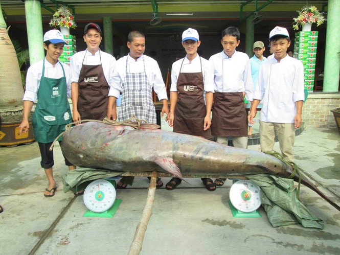 Những 'thủy quái khổng lồ' từng bị bắt ở sông Mê Kông đưa về Việt Nam - ảnh 5