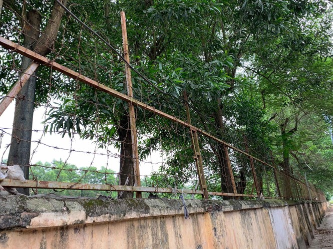 Thí sinh hào hứng làm thủ tục nhập thi THPT quốc gia 2019 - ảnh 4