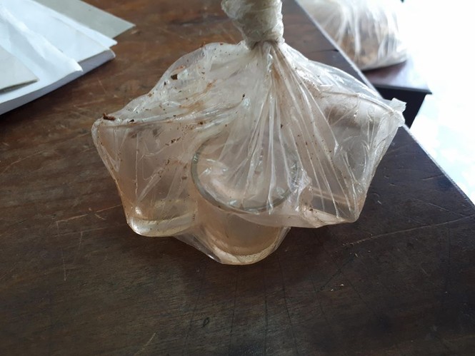 Trong rượu có cây kịch độc - ảnh 2