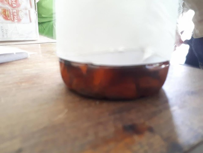Trong rượu có cây kịch độc - ảnh 1