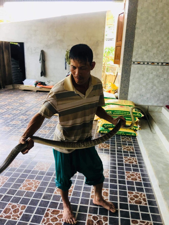 Đi đánh cá, người đàn ông bắt được rắn hổ trâu khủng - ảnh 2