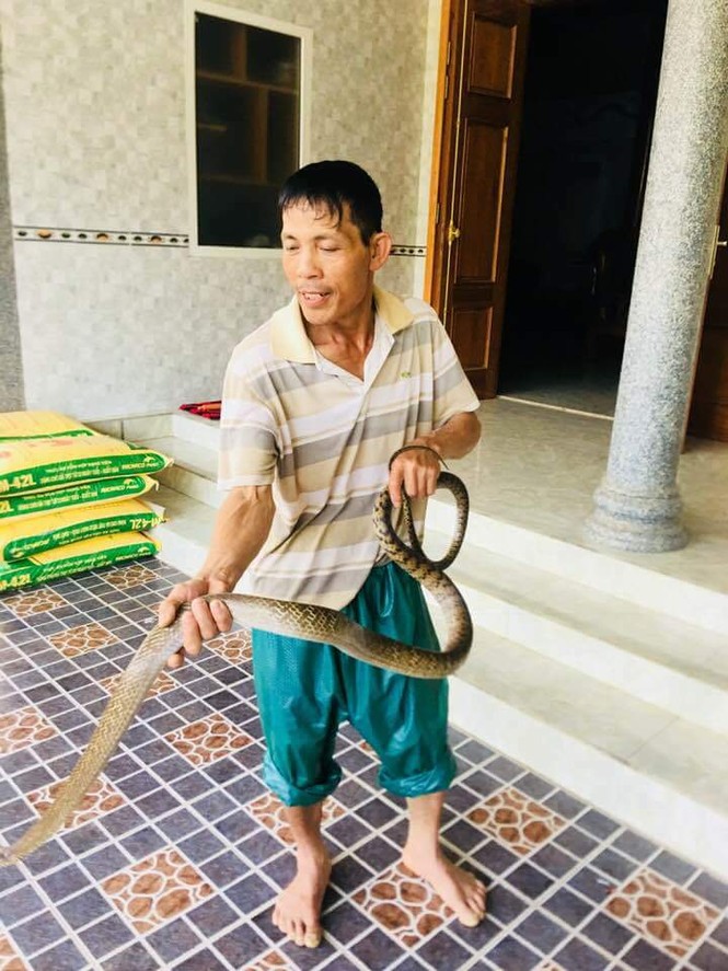 Đi đánh cá, người đàn ông bắt được rắn hổ trâu khủng - ảnh 1