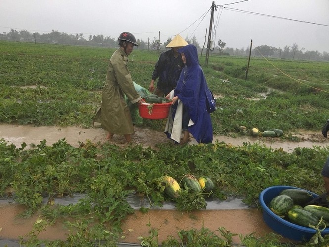 Thanh niên đội mưa giúp dân