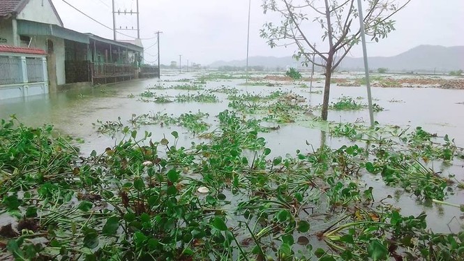 nguy cơ lũ lớn, chính quyền cưỡng chế di dời người dân ra khỏi vùng nguy hiểm - ảnh 8