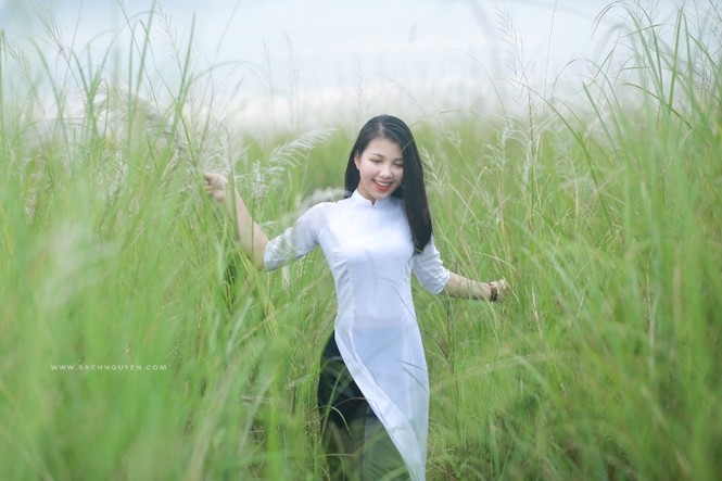 Ngắm vẻ đẹp rạng ngời Á khôi sinh viên Nghệ An 2018 giữa cánh đồng lau - ảnh 5