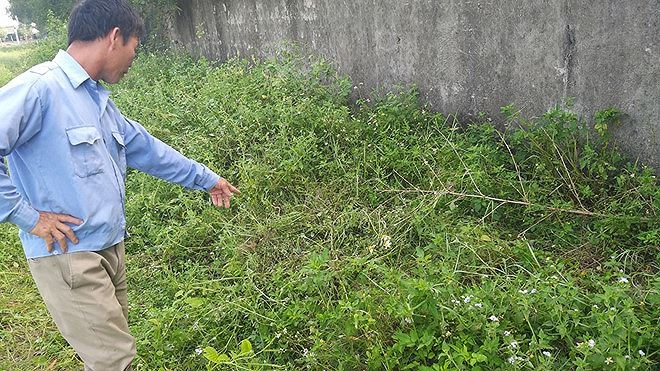 Tin mới nghi án 2 nam sinh 14 tuổi xâm hại bé lớp 2 sau bờ tường - ảnh 2