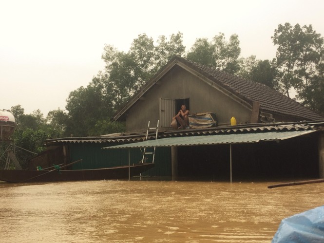 Mưa lũ khiến 5 người chết, người trồng bưởi đặc sản lo tổn thất trăm bề - ảnh 1
