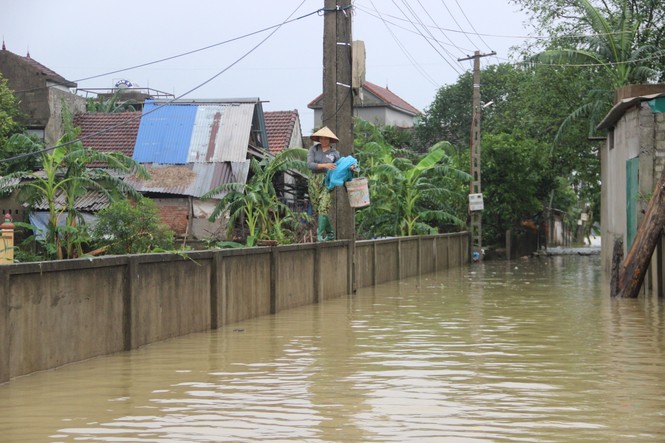 Nước sông Lam dâng cao gây ngập lụt trên diện rộng - ảnh 4