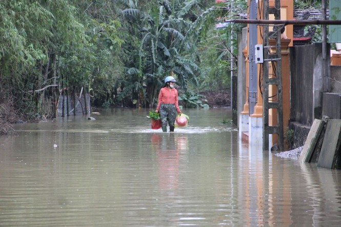 Nước sông Lam dâng cao gây ngập lụt trên diện rộng - ảnh 7