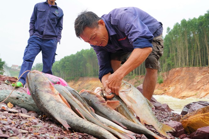 Ho Ke Go flooded, people came together to hunt fish 