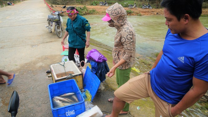 Ho Ke Go flooded, people came together to hunt fish 