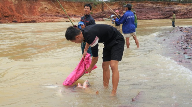 Ho Ke Go flooded, people came together to hunt fish 