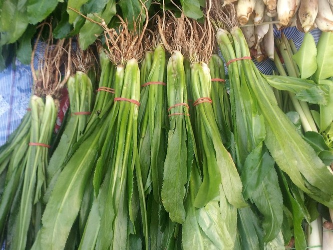 Chữa cảm cúm hiệu quả với mùi tàu - ảnh 2