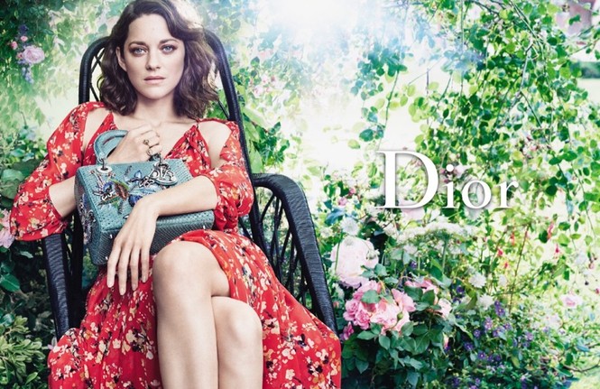 người mẫu,quyến rũ,quảng cáo,bộ ảnh,túi xách,nhiếp ảnh gia,Christian Dior,Craig McDean, Marion Cotillard - ảnh 1
