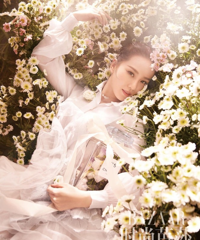 Lưu Thi Thi, Ngô Kỳ Long - ảnh 3