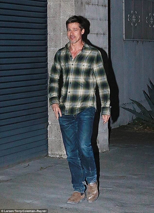 Brad Pitt - Quý ông cô đơn ở Hollywood - ảnh 31
