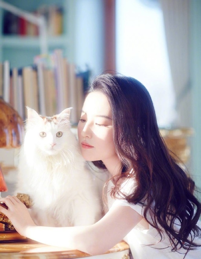 Lưu Diệc Phi duyên dáng yêu kiều - ảnh 3