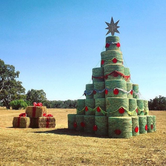 Thích mê những cây thông Noel 'có một không hai' của dân mạng - ảnh 9