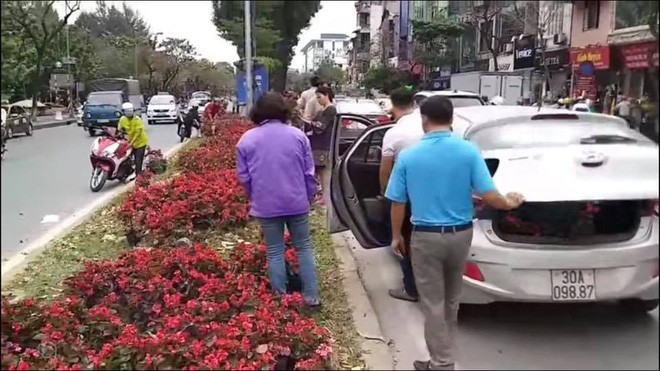 hôi cây, cây cảnh, kim mã, mạng xã hội, hôi hoa, hình ảnh, phản cảm, cây xanh, hà nội, - ảnh 3