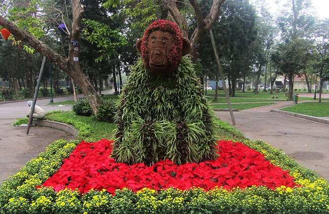 công viên, trang trí, cây tết, thống nhất, hà nội, cây xanh, tết, - ảnh 10