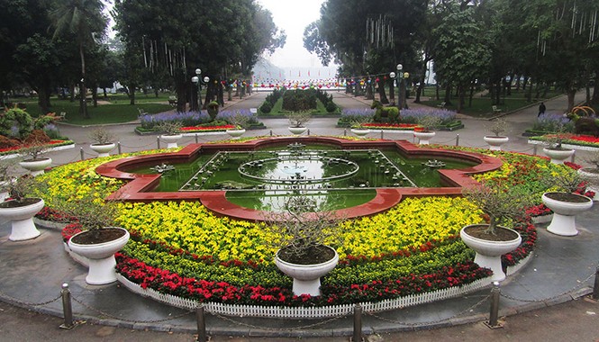 công viên, trang trí, cây tết, thống nhất, hà nội, cây xanh, tết, - ảnh 13