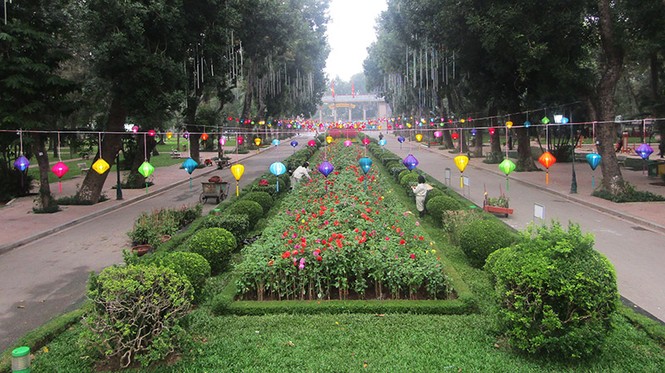 công viên, trang trí, cây tết, thống nhất, hà nội, cây xanh, tết, - ảnh 12