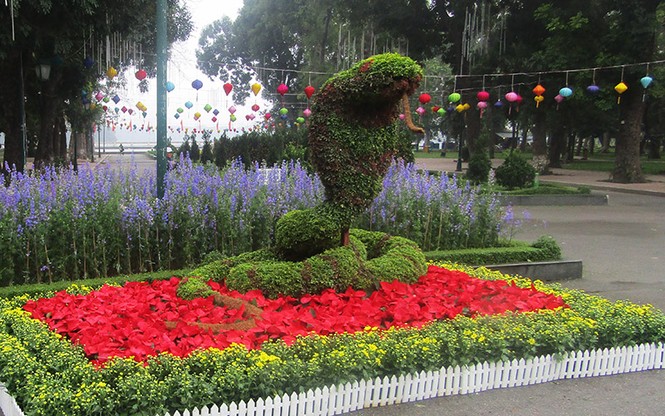 công viên, trang trí, cây tết, thống nhất, hà nội, cây xanh, tết, - ảnh 2