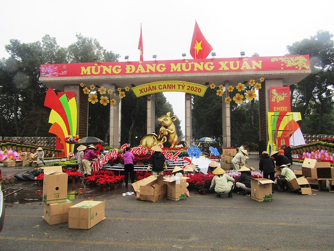 công viên, trang trí, cây tết, thống nhất, hà nội, cây xanh, tết, - ảnh 16